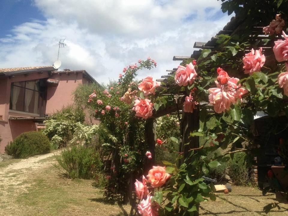 La Chiesuola Bed & Breakfast Bagnaia  Exterior foto