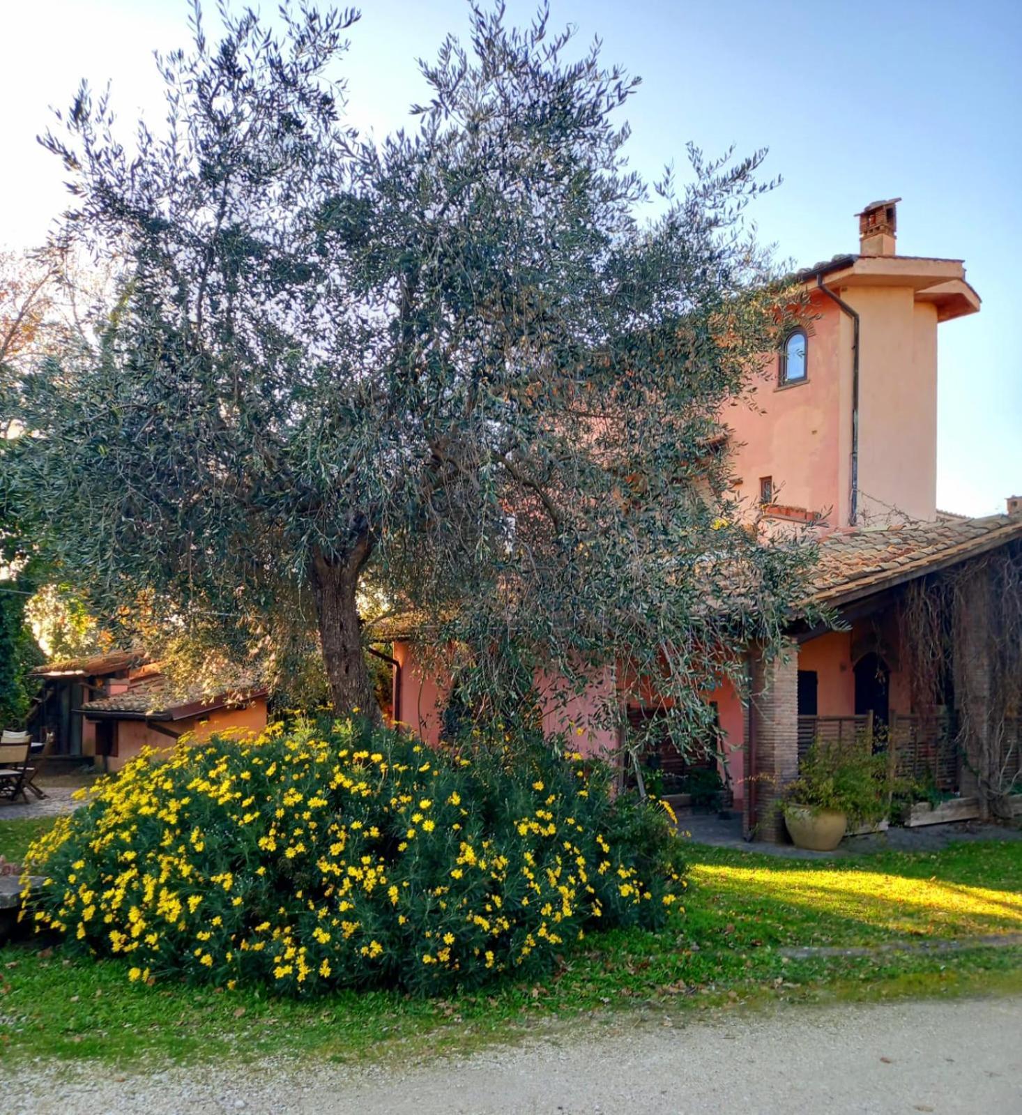 La Chiesuola Bed & Breakfast Bagnaia  Exterior foto