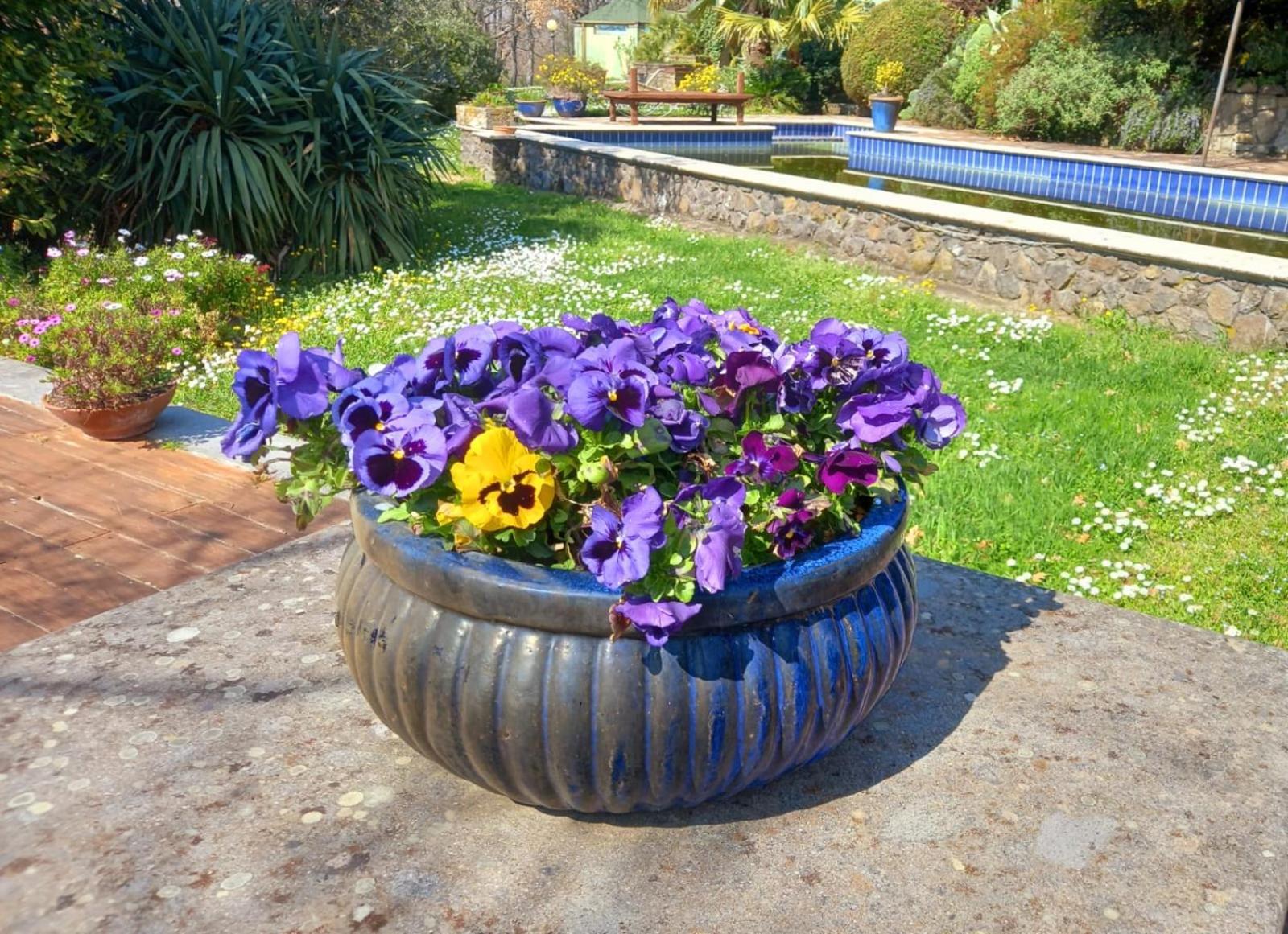 La Chiesuola Bed & Breakfast Bagnaia  Exterior foto