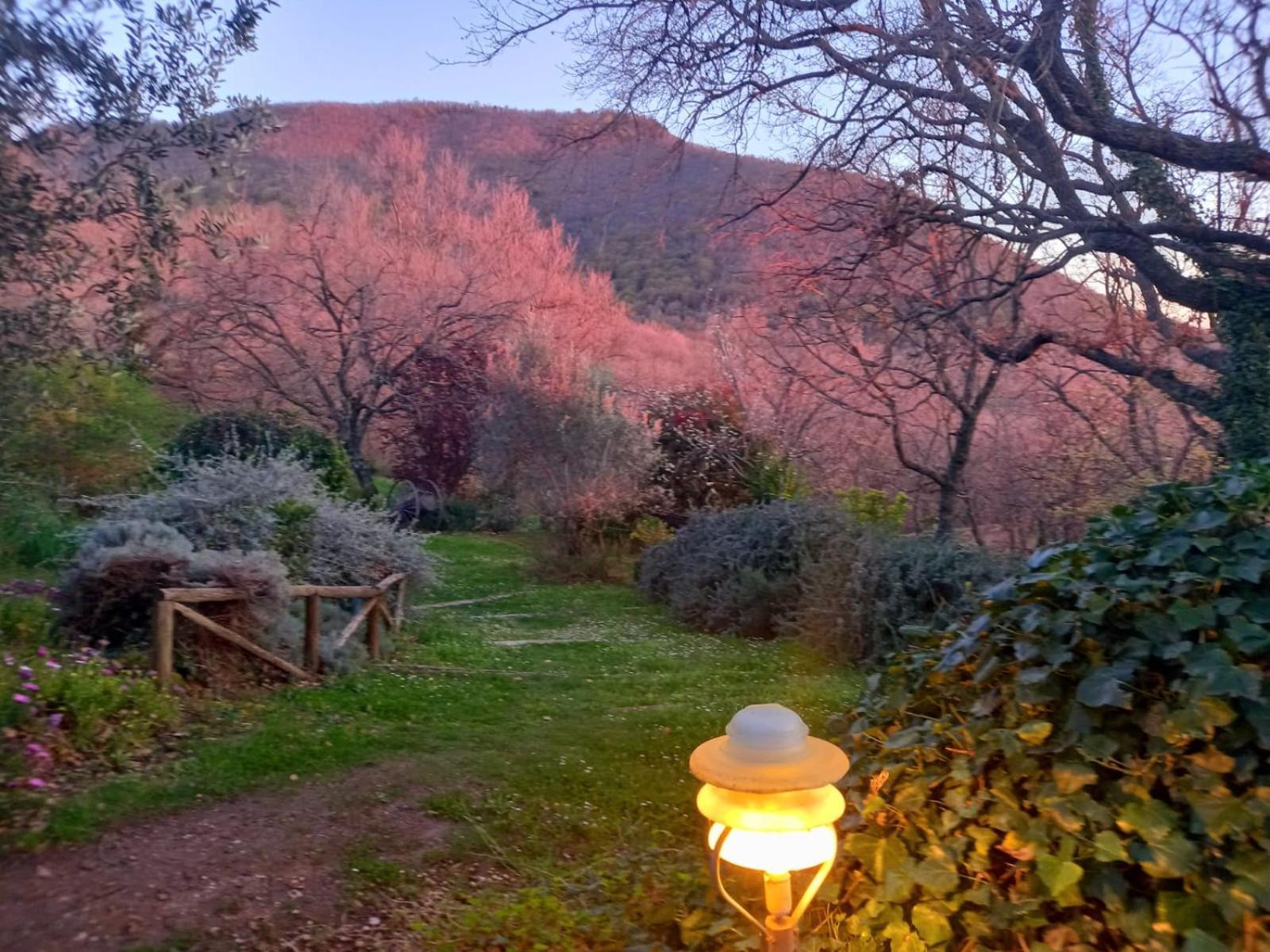 La Chiesuola Bed & Breakfast Bagnaia  Exterior foto