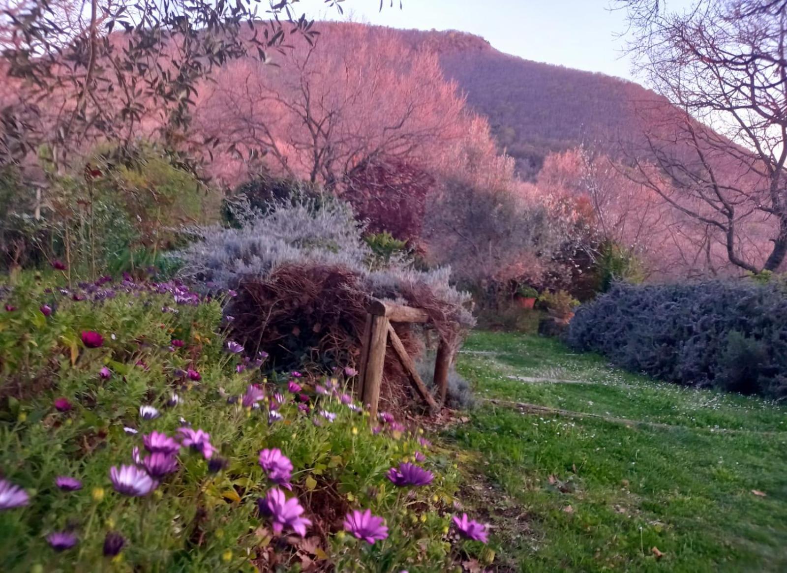 La Chiesuola Bed & Breakfast Bagnaia  Exterior foto